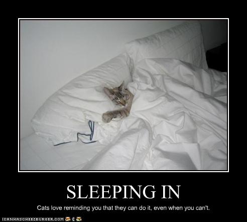 [funny-pictures-cat-sleeps-in.jpg]