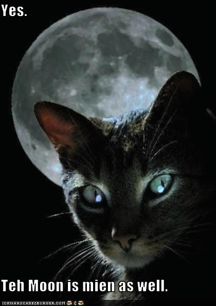 [funny-pictures-moon-belongs-to-cat.jpg]