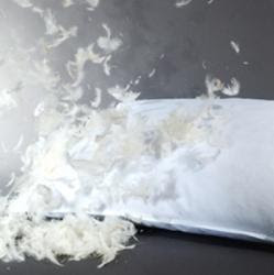 Torn Pillow