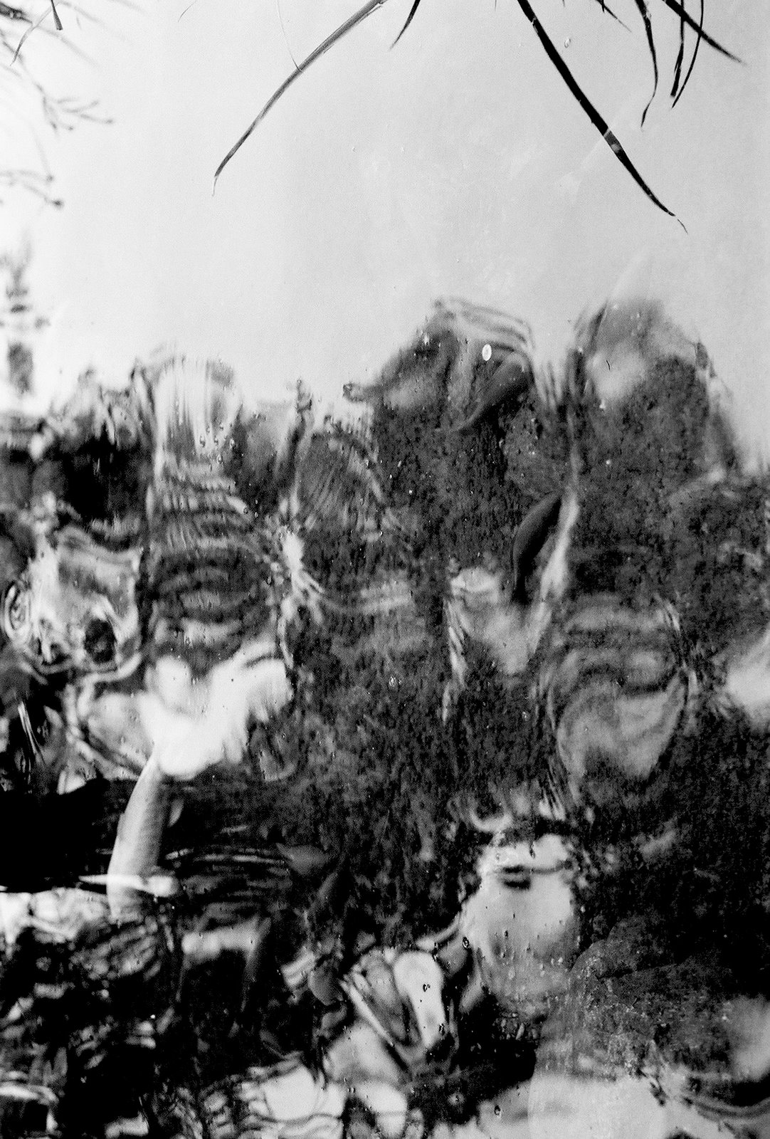 [0001079-R01-014.Jpg]