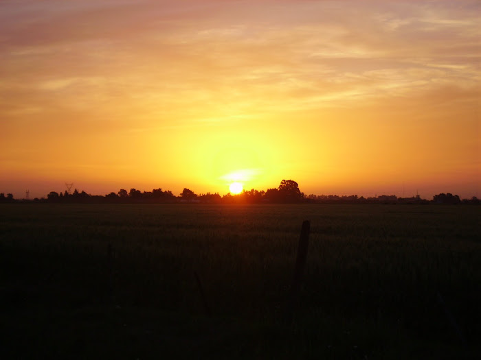 TARDE DE NOVIEMBRE