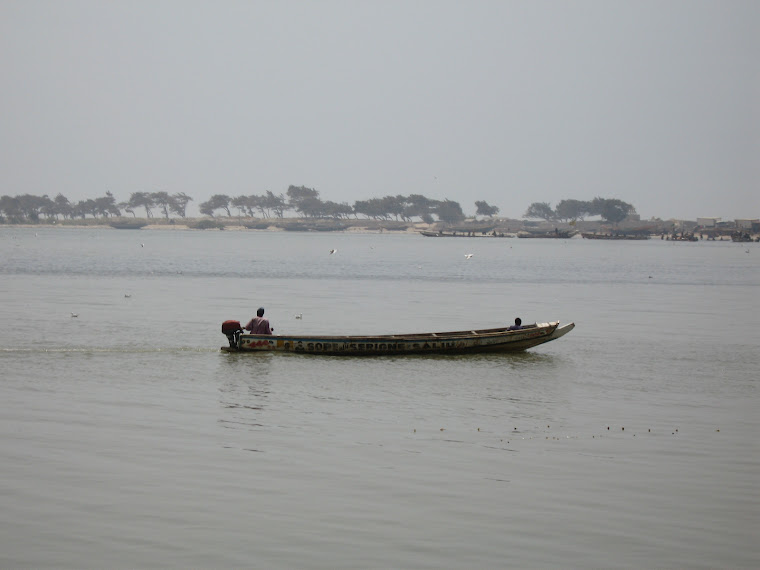 l'île de Saint louis