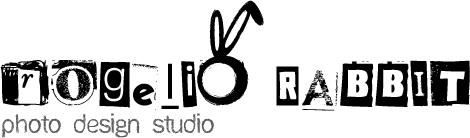 ROGELIO RABBIT photo design stuido