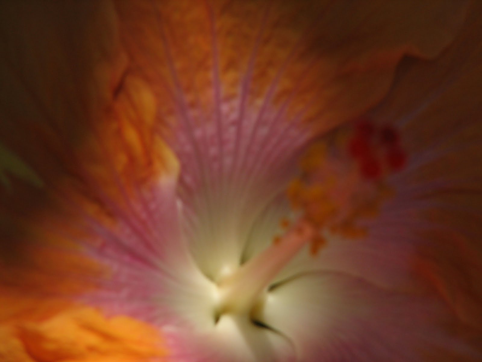 Causes of abnormal vaginal discharge, often accompanied by Back Pain Weights fishy smell.