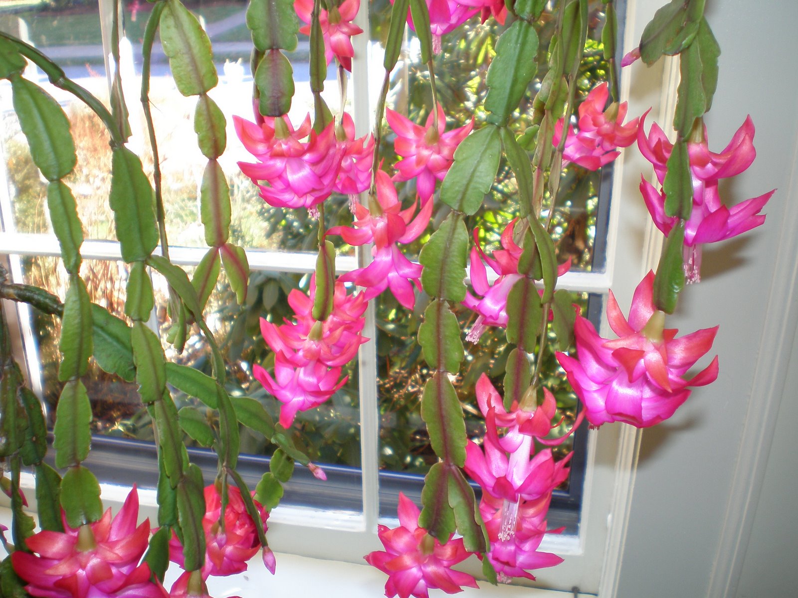 [PC010010.JPG]