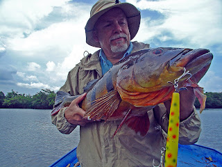 David Fields with 18# Peacock Bass caught on Peacock Ripper David Fields with 18# Peacock Bass caught on Peacock Ripper
