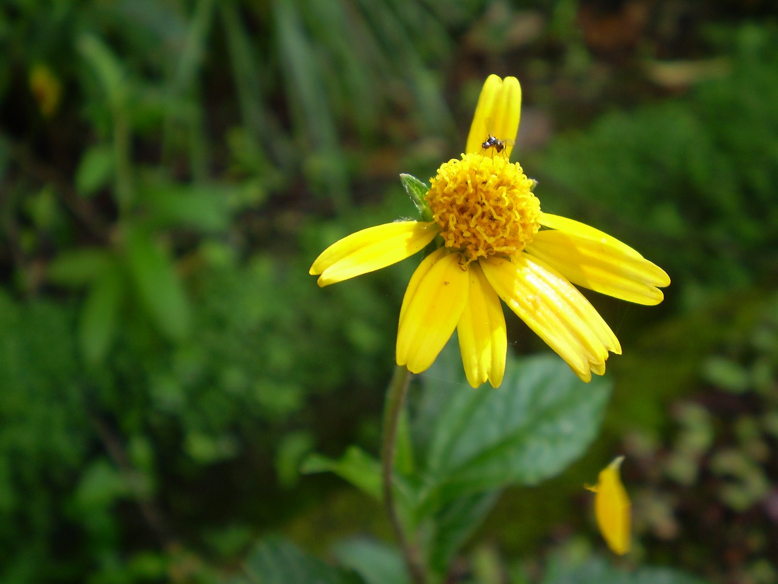 [P1010073-1.JPG]