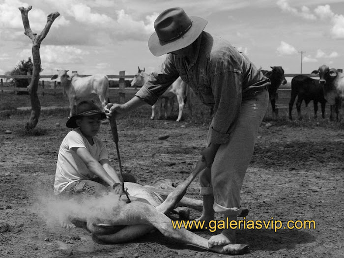 TRABAJO DE LLANO