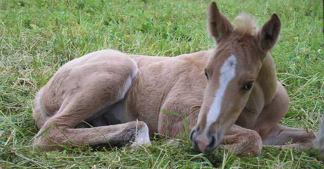 [fridaybabylie52007.jpg]