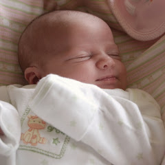 Stella Rose