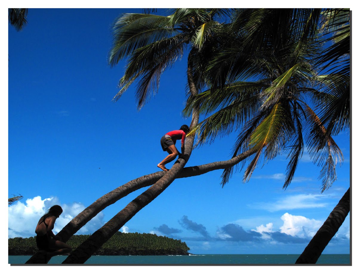 [Guyane2CP.jpg]