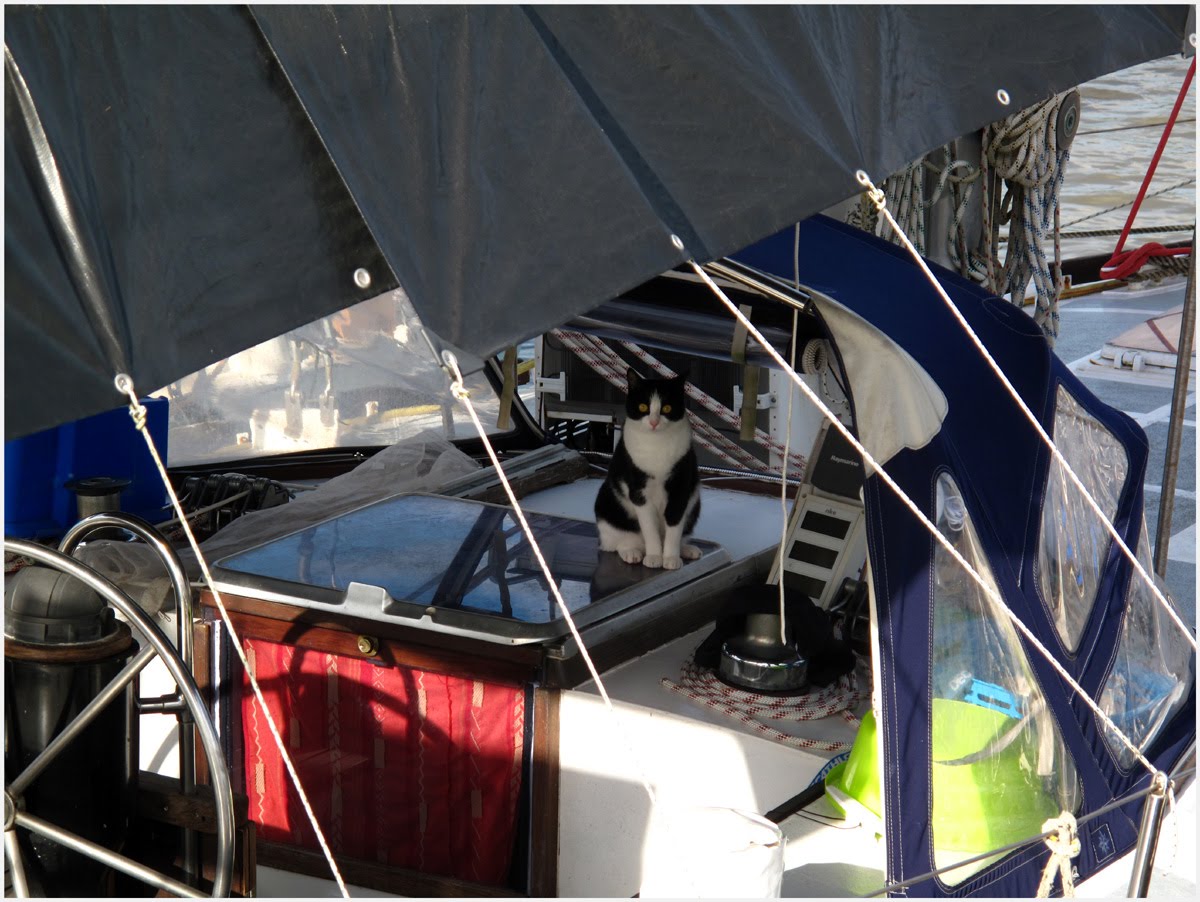 [cayennemarinaCP.jpg]