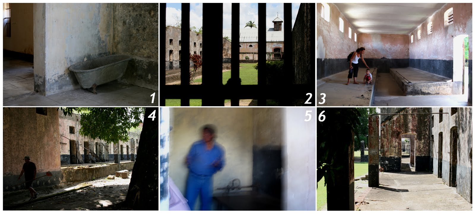 [03.02.10MontageCP.jpg]