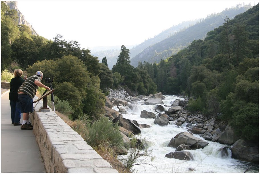 le torrent