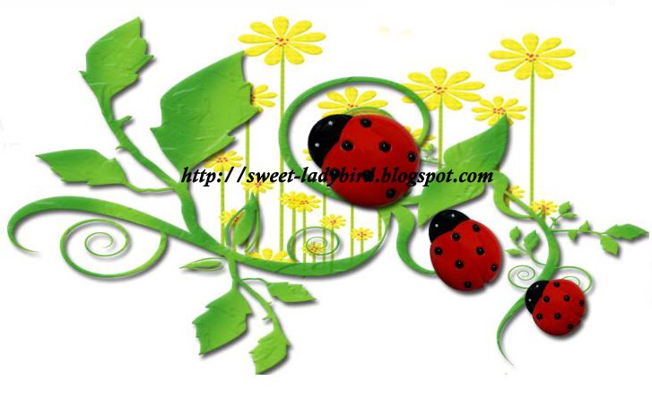 Kempen Aurat Saya Maruah Ladybird Life Kempen Aurat Saya Maruah Ladybird Life