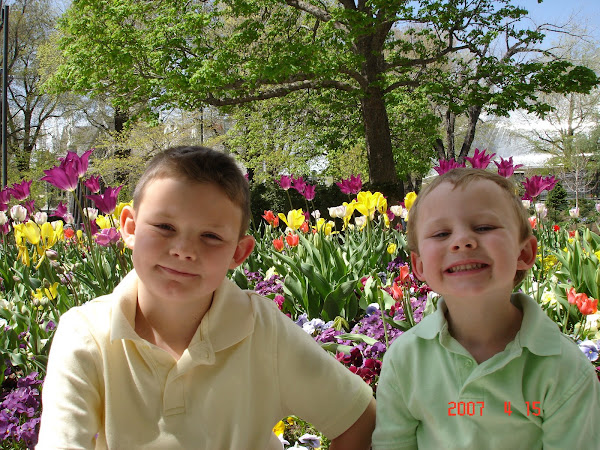 Springtime at Temple Square