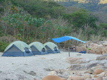 Campamento "Paddle on In"