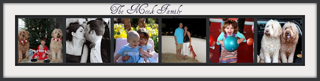 The Meek Family