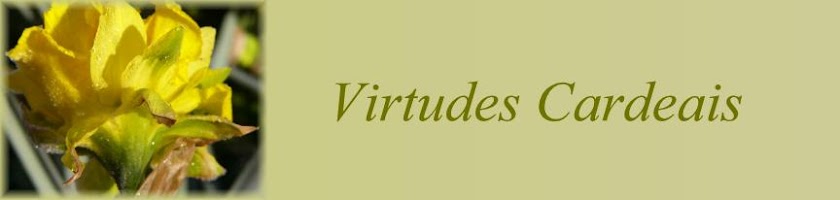 Virtudes Cardeais