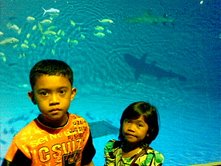 Aquaria Malaysia