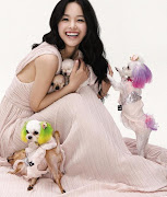 Colourful puppies from Korean Vogue!