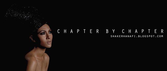 chapter by chapter