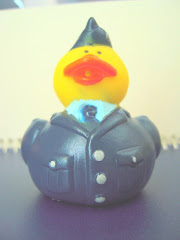 My Air Force Ducky