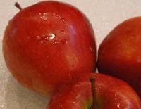 [Apple2.JPG]