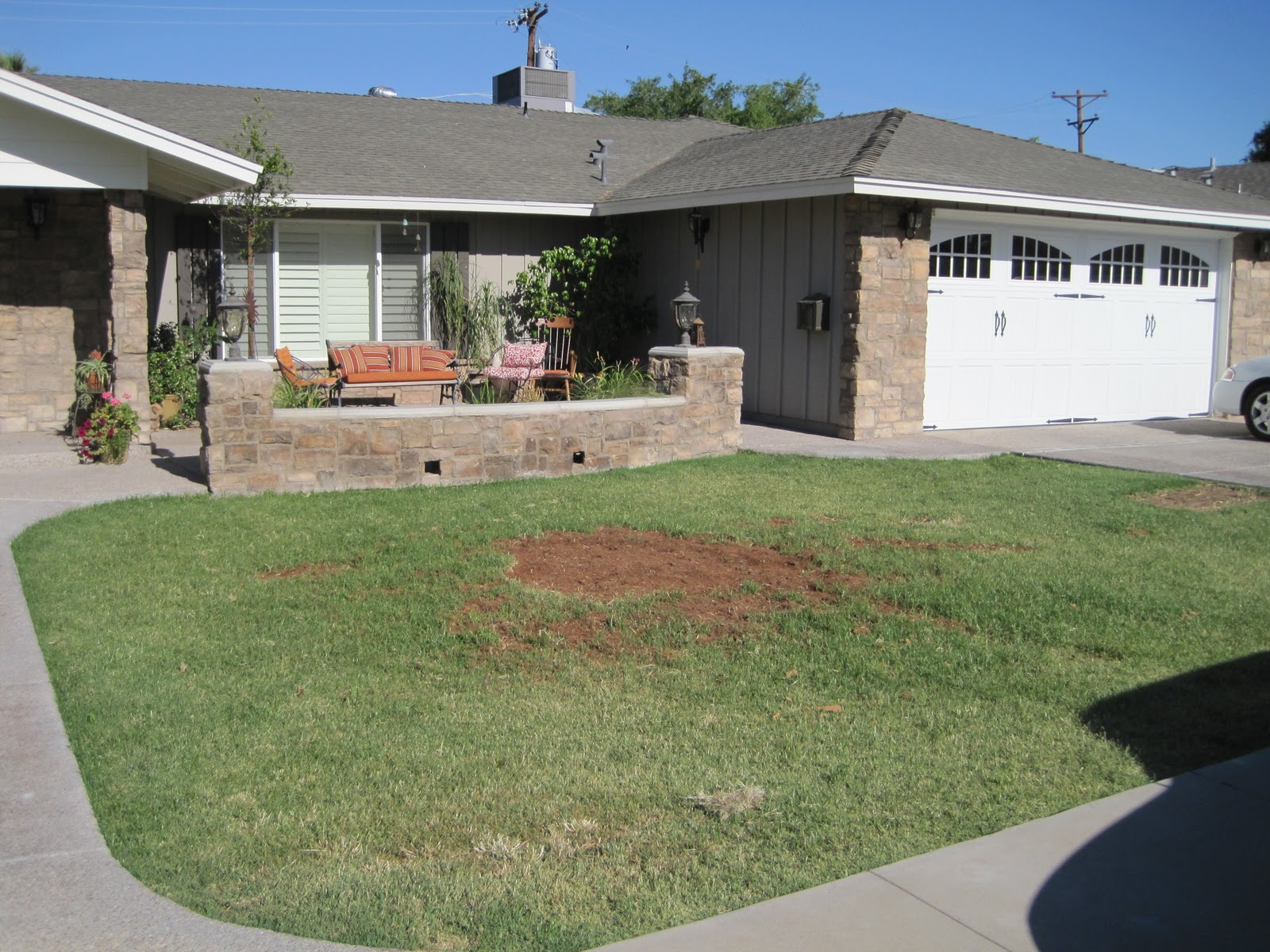 Wright in the Garden: Landscaping the new house - Front Yard