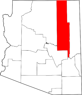 investing without losing the tax liens and tax deeds arizona w9 form