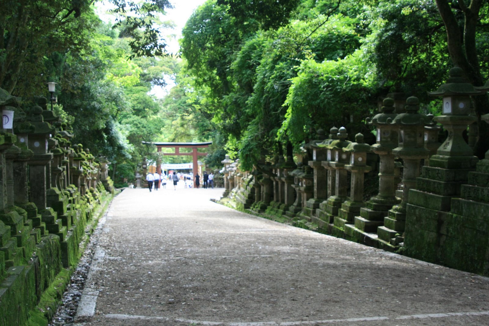 [IMG_4994.JPG]
