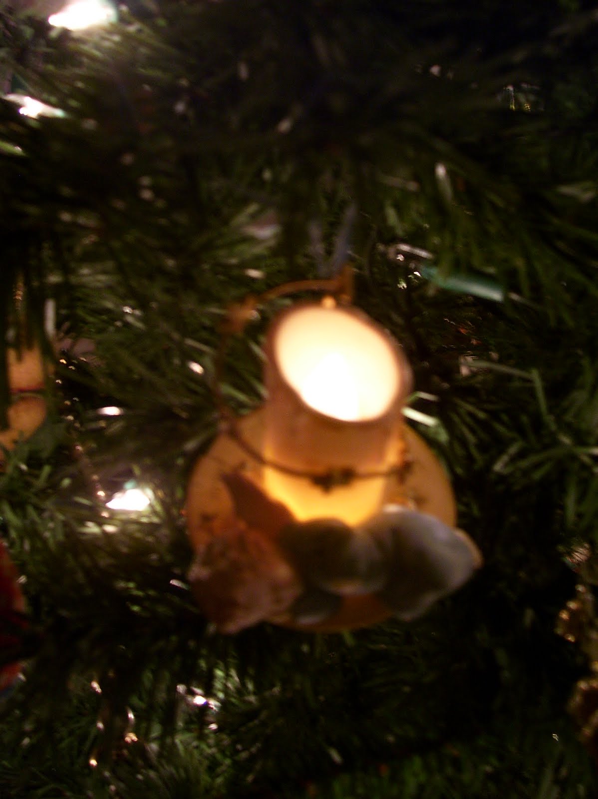 [thomas+ornament+on+the+tree.jpg]
