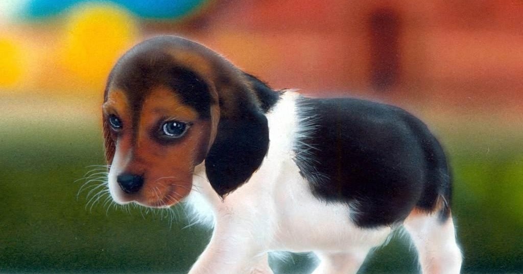Dünya Kaçtı Gözüme…… Beagle
