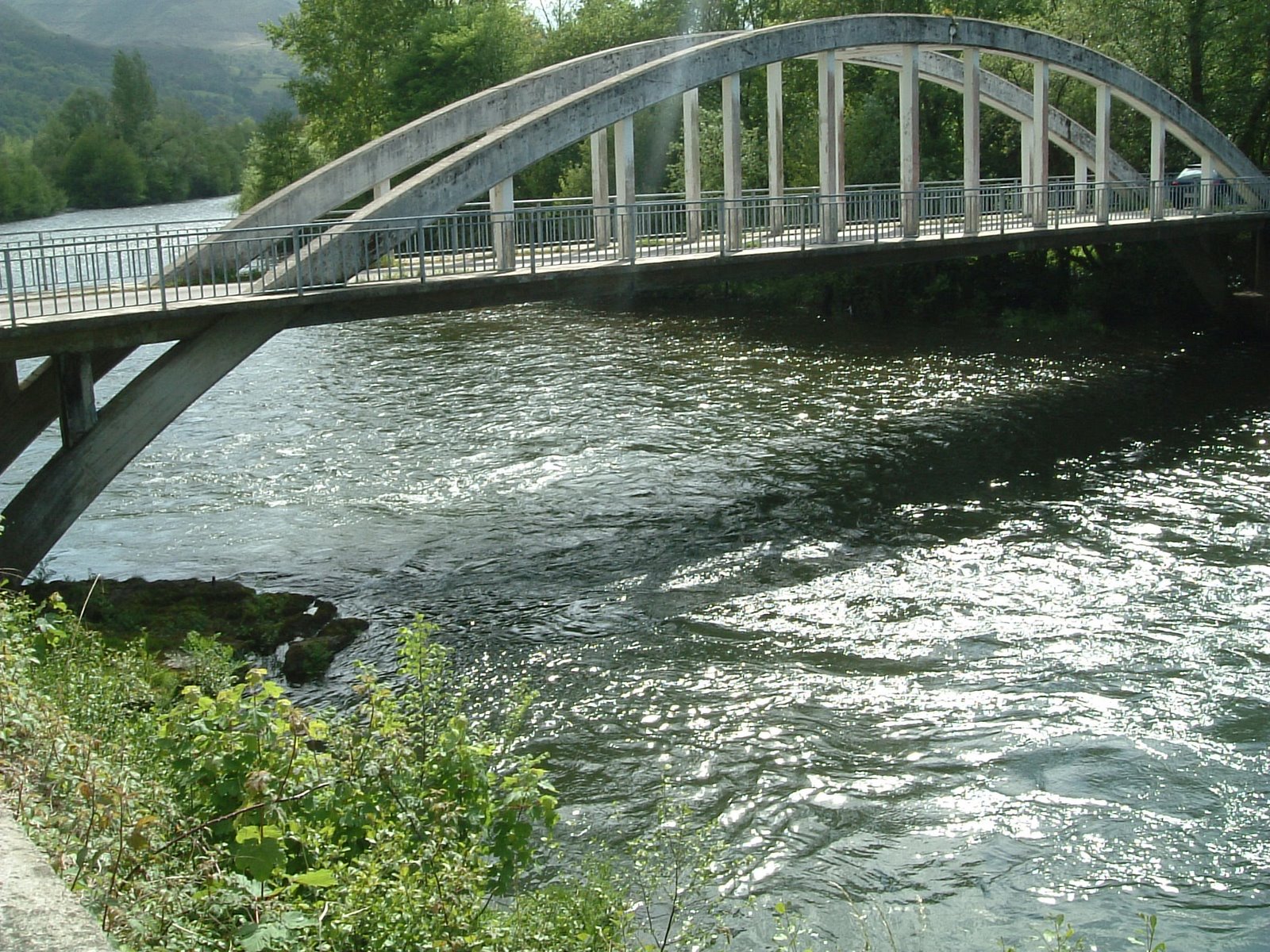 [puente+laneo2.JPG]