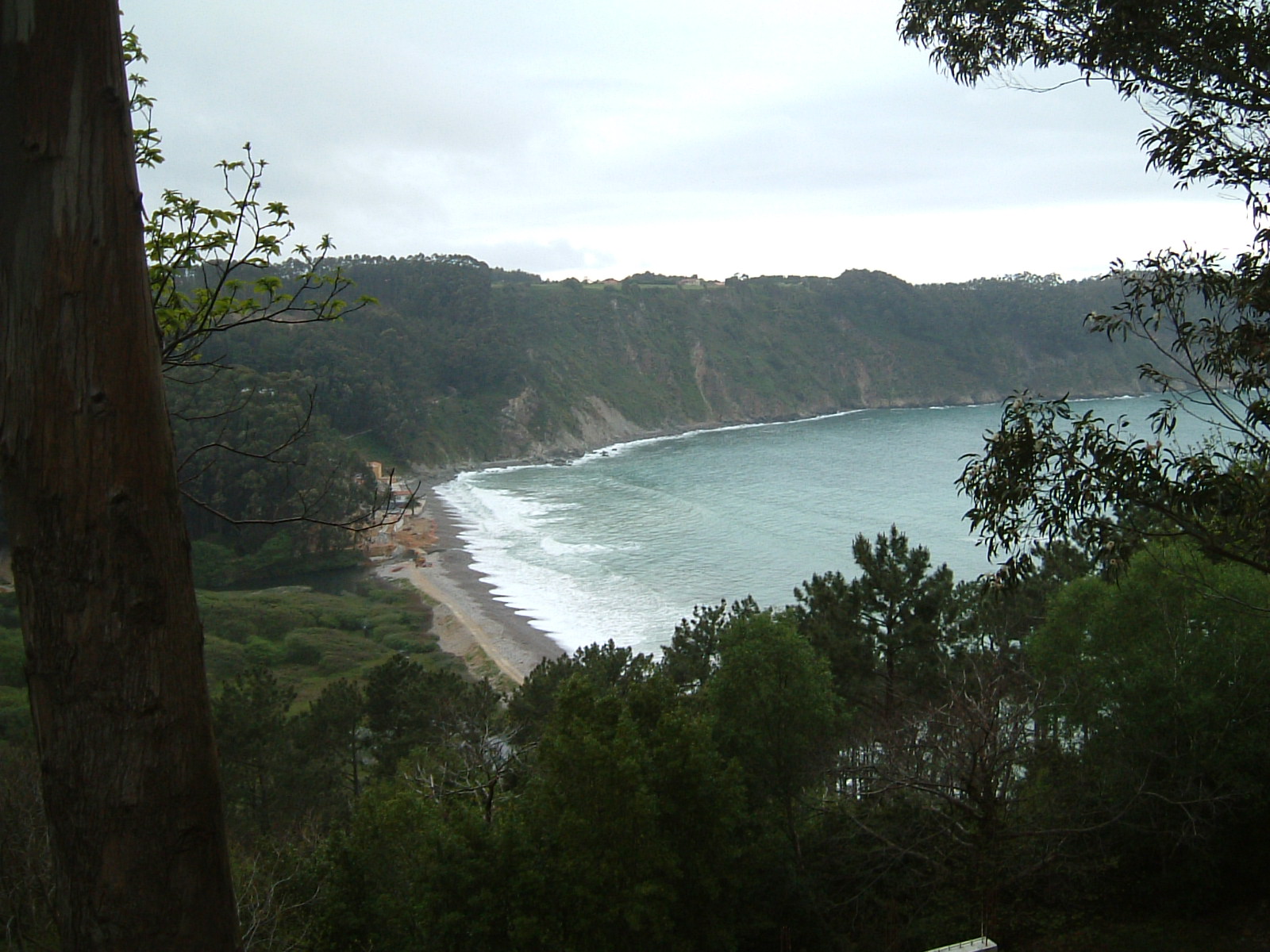 [concha+de+artedo.JPG]