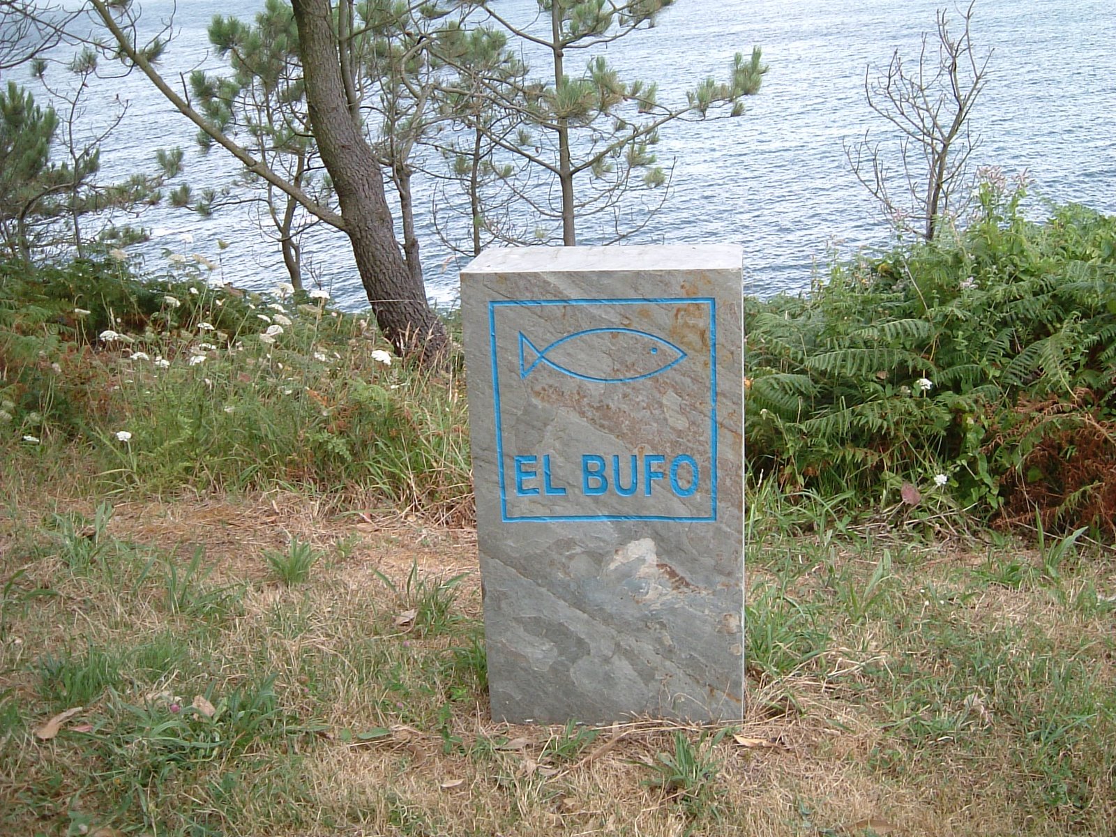 [el+bufo-viavelez.JPG]