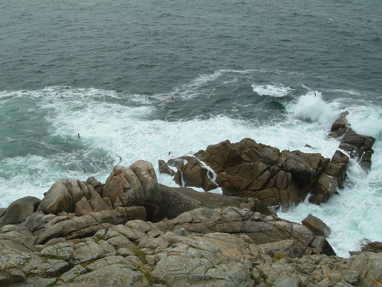 [16-punta+coitelada.JPG]