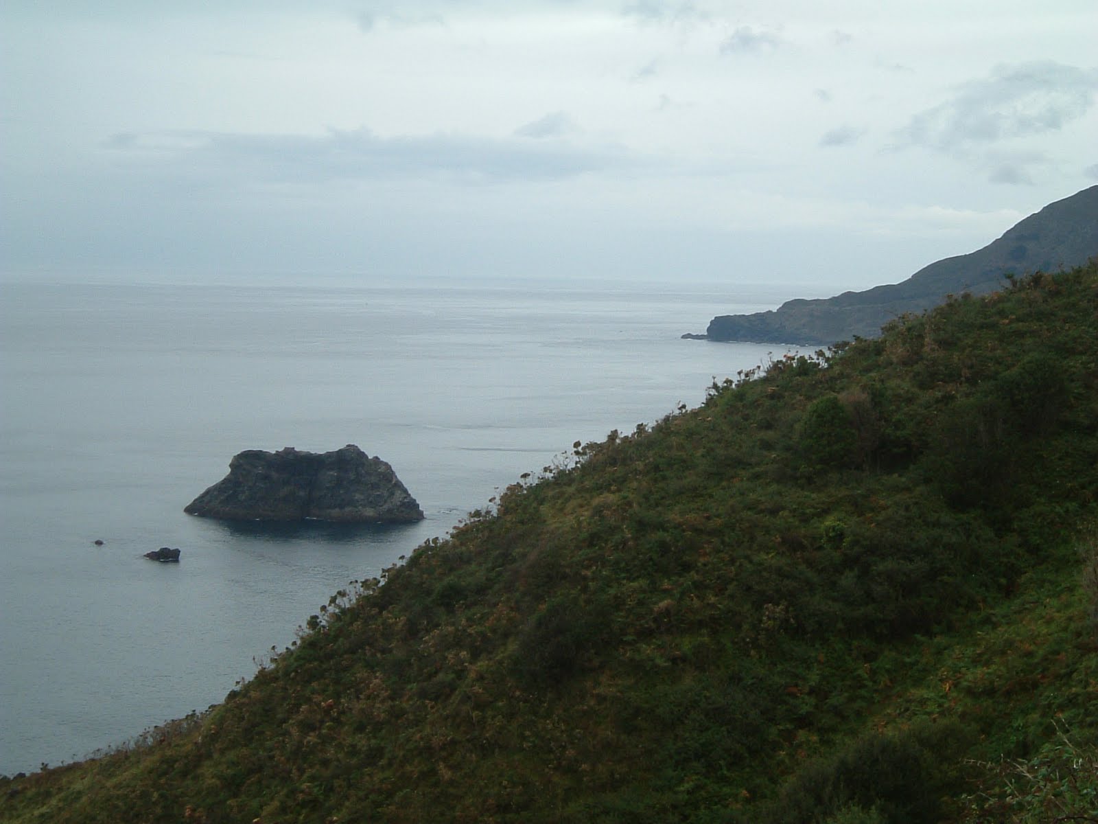 [4-punta+do+limo.JPG]