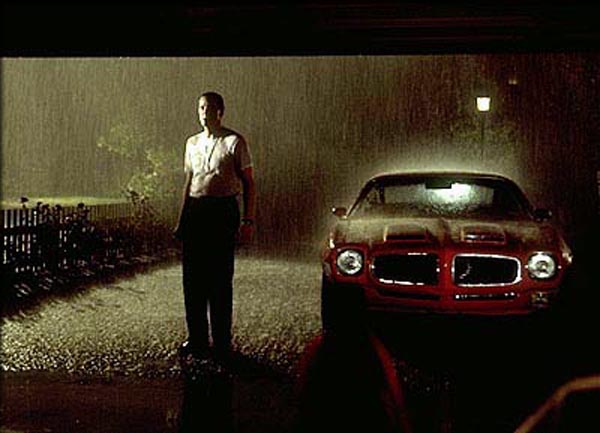American Beauty American Beauty