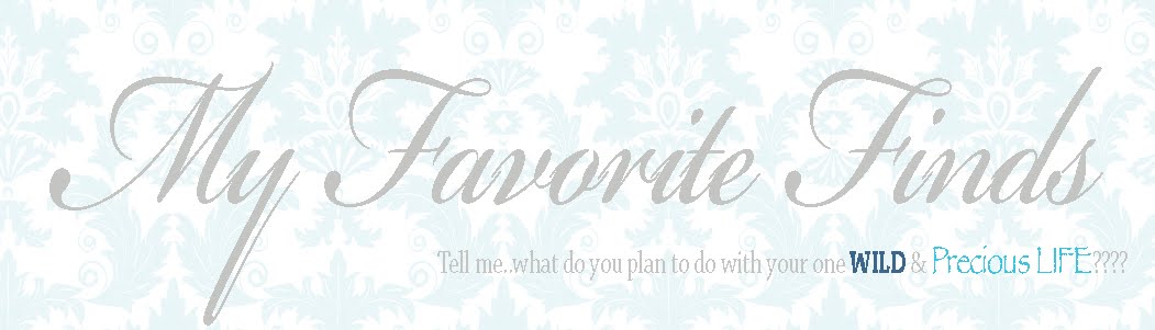 Shop My Favorite Finds