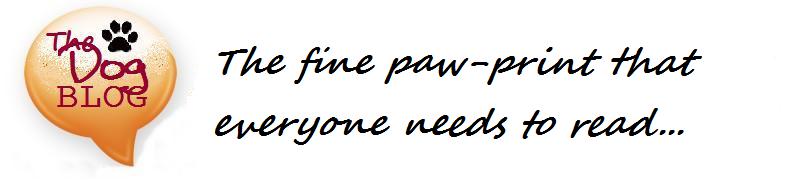 Dog Blog