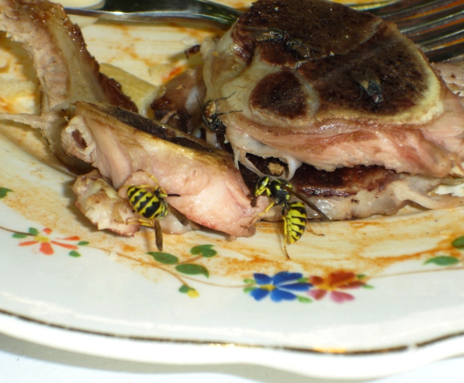 Rodanas: Las avispas de Rodanas