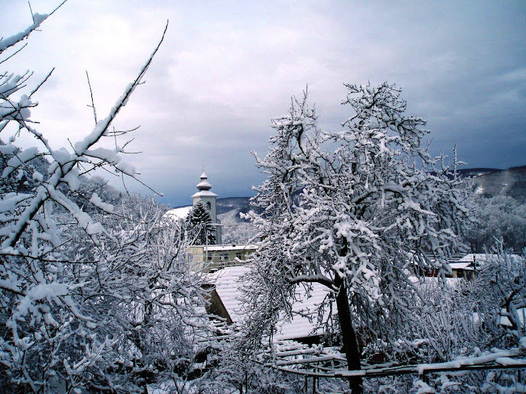 Odkaz na verejný album - Tono Stašov