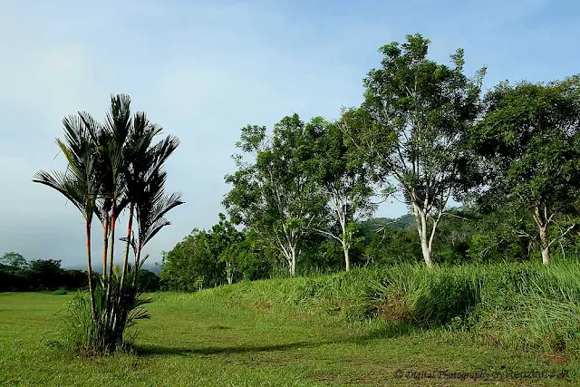 Raub Golf course