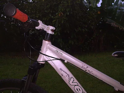 Venzo FX-1  13inch  MTB frame