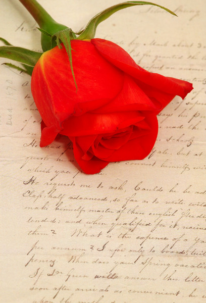 Dating agency in hull