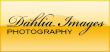 Photography Services