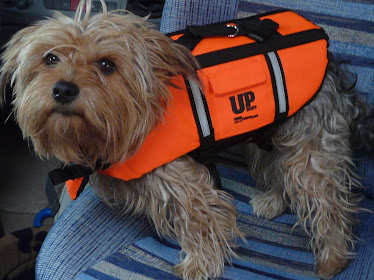 Paddy with life jacket!