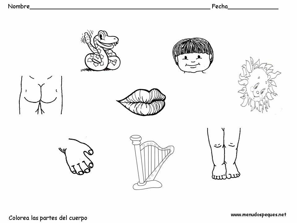 ... para-colorear/las-partes-del-cuerpo-humano/colorear-las-partes-del