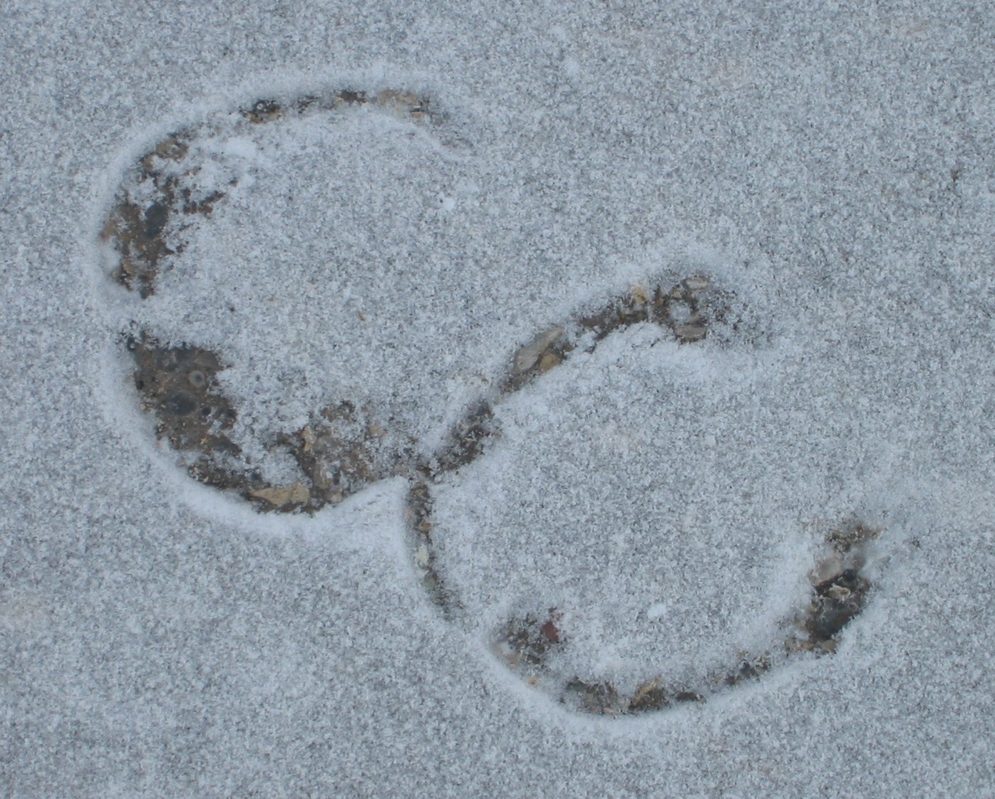 Yak Tracks submited images.